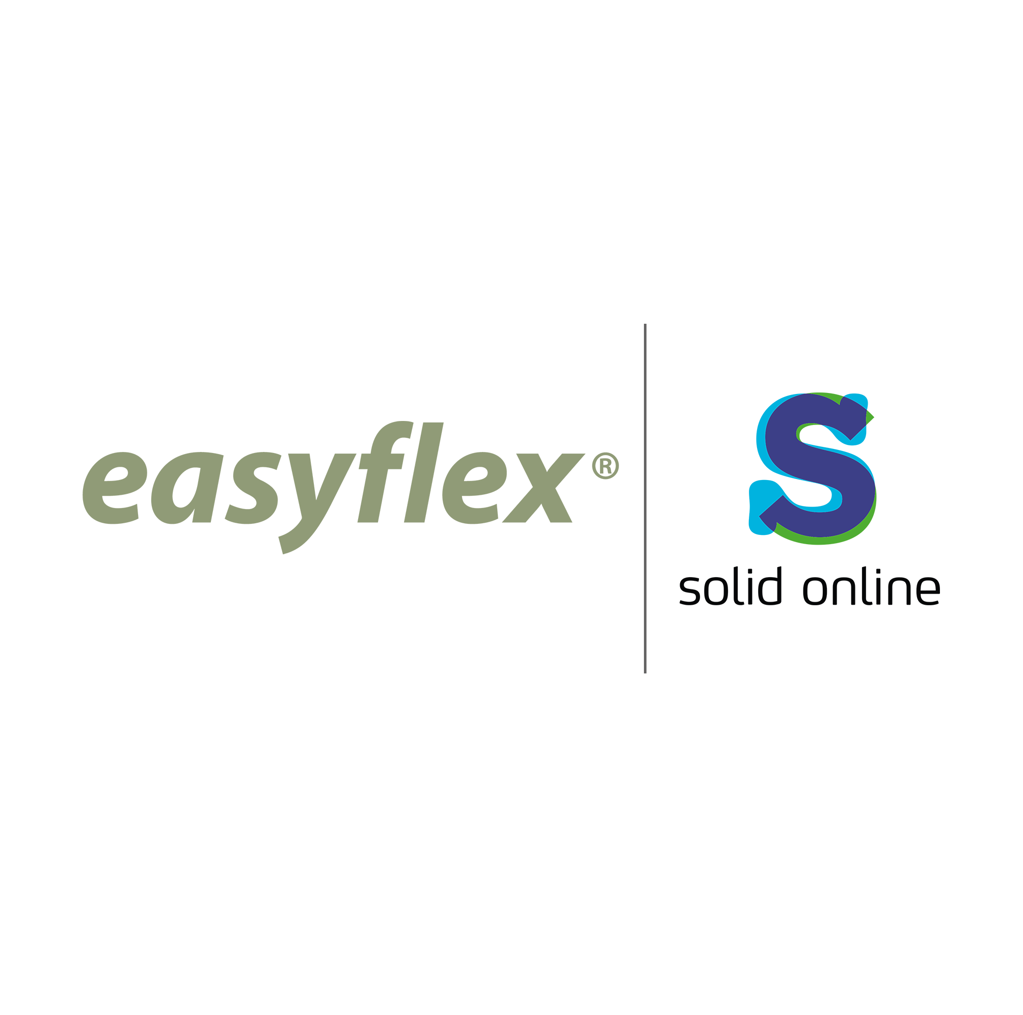 Easyflex | Solid Online