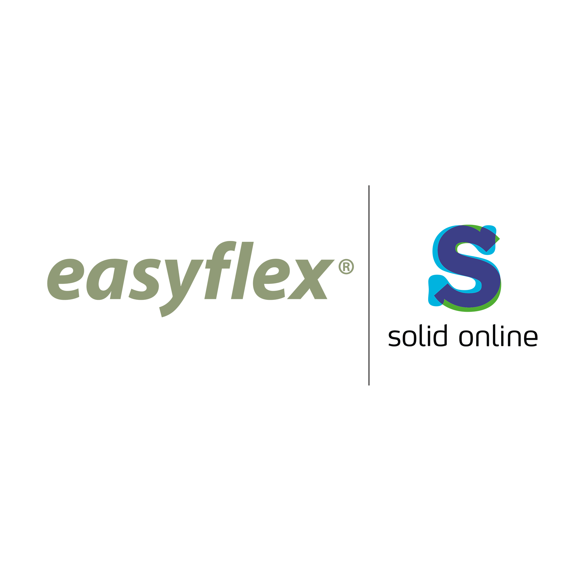 Easyflex | Solide en ligne